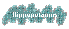 Hippopotamus