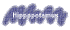 Hippopotamus