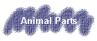 Animal Parts