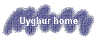 Uyghur home