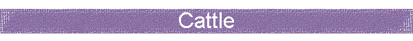 Cattle