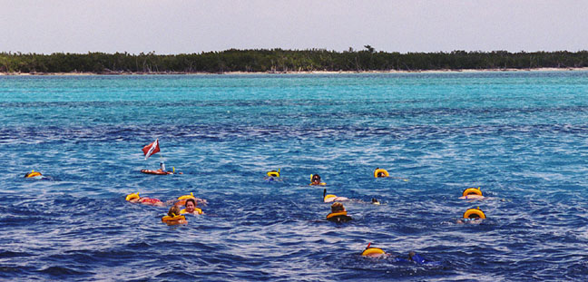 Snorkeling In Cozumel. Other Photos from Cozumel