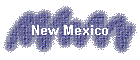 New Mexico